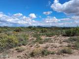 TBD Cottontail Lane - Photo 15