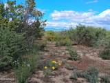 TBD Cottontail Lane - Photo 16