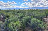 TBD Cottontail Lane - Photo 20