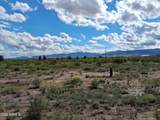 TBD Cottontail Lane - Photo 21