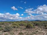 TBD Cottontail Lane - Photo 22