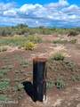 TBD Cottontail Lane - Photo 3