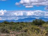 TBD Cottontail Lane - Photo 4