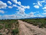 TBD Cottontail Lane - Photo 5