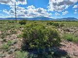 TBD Cottontail Lane - Photo 6