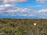 TBD Cottontail Lane - Photo 8