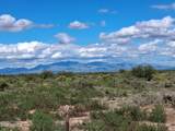 TBD Cottontail Lane - Photo 9