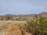 9651 Quarter Circle Loop - Photo 5