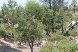 910 Monument Valley Drive - Photo 24