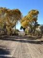 TBD Turkey Creek Road - Photo 2