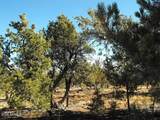 4131 Sunset Ridge Loop - Photo 4