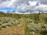3353 Roughrider 5 Ac Road - Photo 1