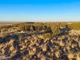 TBD Co Rd 5062 2.39 Acres - Photo 14