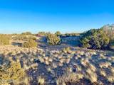 TBD Co Rd 5062 2.39 Acres - Photo 15