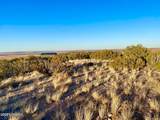 TBD Co Rd 5062 2.39 Acres - Photo 19