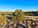 TBD Co Rd 5062 2.39 Acres - Photo 22