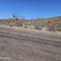 00000 Sandy Bluff Road - Photo 1