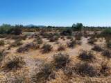 0 Cactus Forest Road - Photo 29