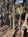 9 Lodgepole Circle - Photo 3