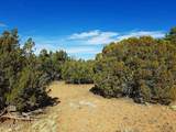 4 parcels Shady Oak 404-69-005 /10+Acres - Photo 1