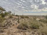 43925 Saguaro Blossom Lane - Photo 10
