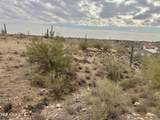 43925 Saguaro Blossom Lane - Photo 11