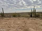43925 Saguaro Blossom Lane - Photo 7