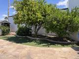 136 Boca Raton Road - Photo 42