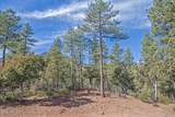 57 Forest Trail Court - Photo 1