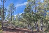 57 Forest Trail Court - Photo 2