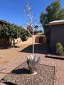6307 Gelding Drive - Photo 30