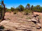 9780 Texas Lane 39.89 Acres - Photo 11