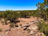 9780 Texas Lane 39.89 Acres - Photo 13