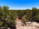 9780 Texas Lane 39.89 Acres - Photo 5