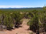 9780 Texas Lane 39.89 Acres - Photo 6