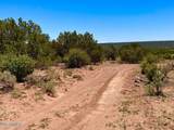 9780 Texas Lane 39.89 Acres - Photo 8