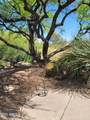 55823 329th Drive - Photo 40