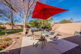 1310 Vine Court - Photo 48
