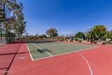 2909 Las Rocas Drive - Photo 42
