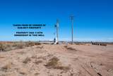 40.33 Acres On Arica Road - Photo 5