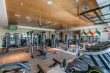 29348 Clear Ridge Road - Photo 106