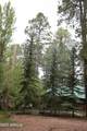 2524 Old Rim Road - Photo 41