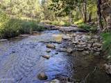 259 Forest Service Road - Photo 27