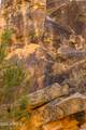 000 Bell Cow Aka Rock Art Ranch Road - Photo 22