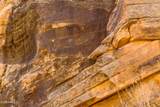 000 Bell Cow Aka Rock Art Ranch Road - Photo 23