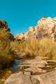 000 Bell Cow Aka Rock Art Ranch Road - Photo 37