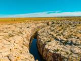 000 Bell Cow Aka Rock Art Ranch Road - Photo 39