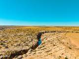 000 Bell Cow Aka Rock Art Ranch Road - Photo 40