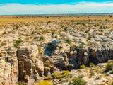 000 Bell Cow Aka Rock Art Ranch Road - Photo 43