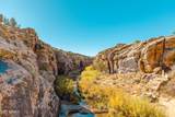 000 Bell Cow Aka Rock Art Ranch Road - Photo 45